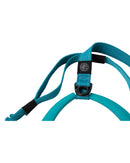 Radar Dog Leash