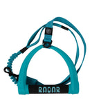Radar Dog Leash
