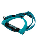 Radar Dog Leash